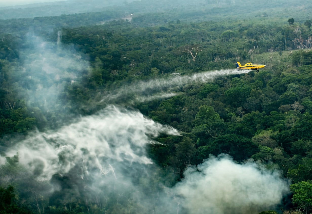 Foto de divulgação sobre os incêndios florestais no Amazonas