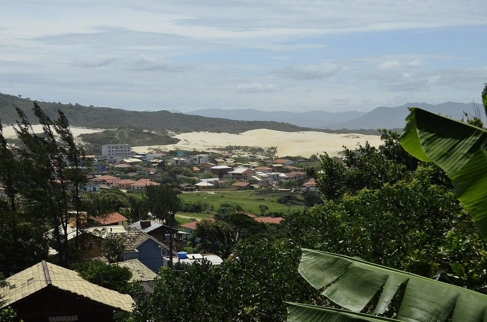 Baleia-franca-austral nadando em águas do litoral sul do Brasil. Foto: Valter Castanho / Wikimedia Commons