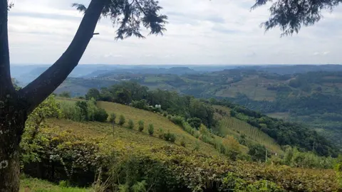 Ilustração: previsão de geada e frio na Serra Gaúcha, com temperaturas negativas em áreas de altitude.