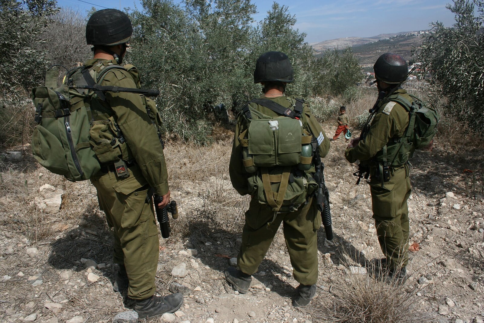 Ilustração: oliveiras em olival palestino na Cisjordânia, região onde colonos atacaram a colheita de azeitonas. Foto: ISM Palestine