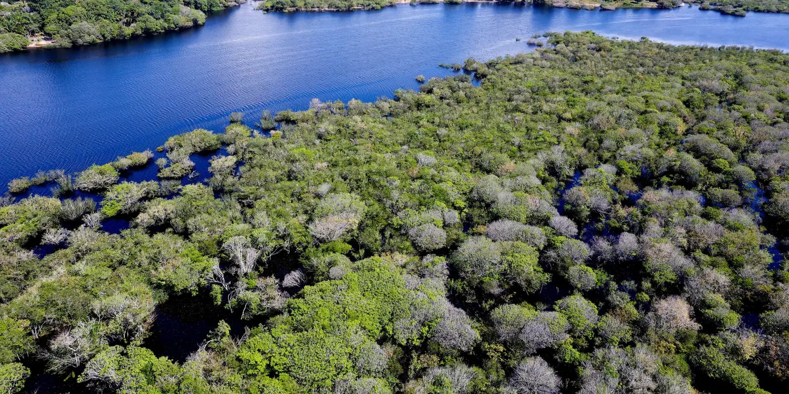 Vista aérea de floresta preservada às margens de um rio na Amazônia.