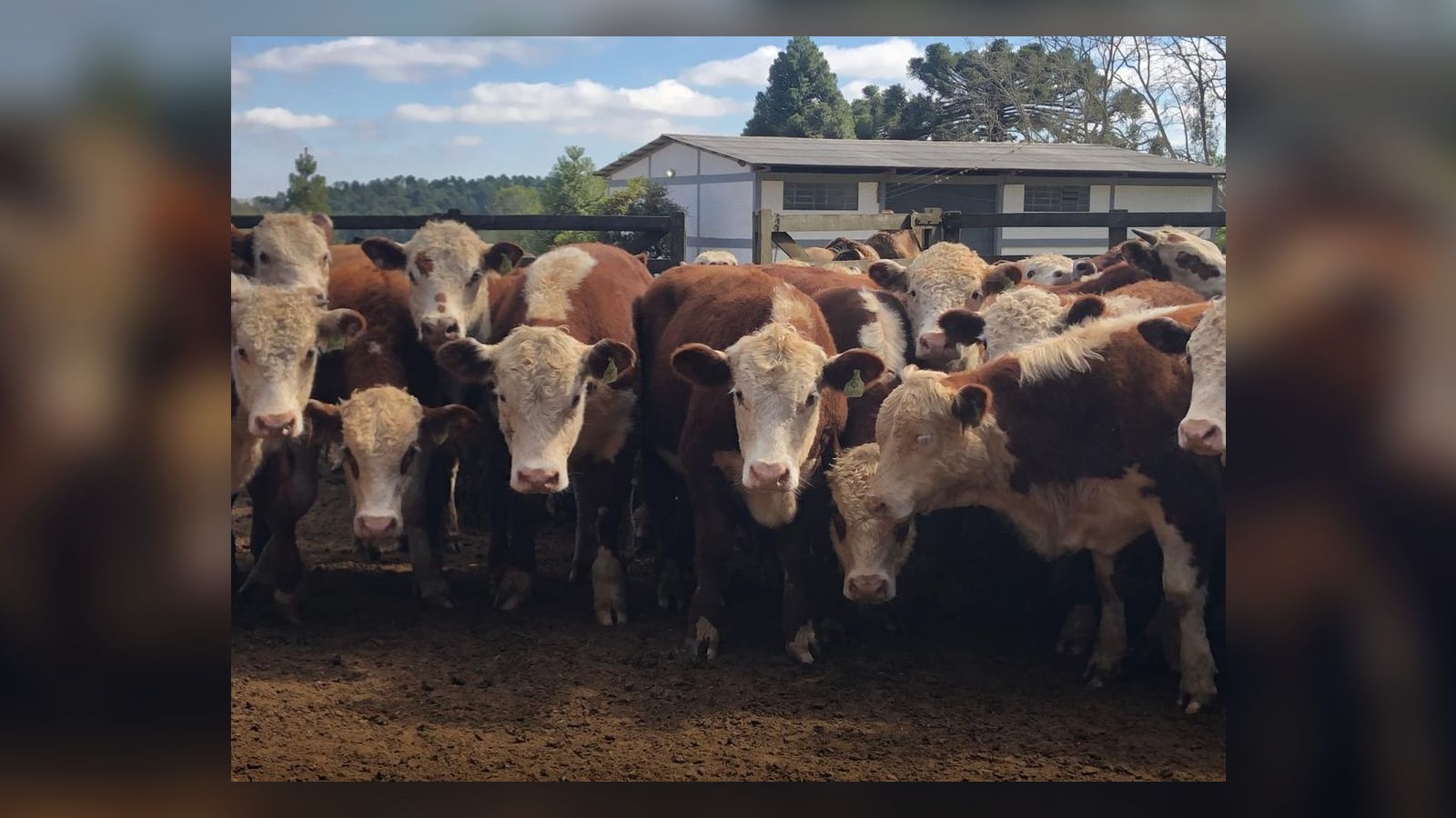 48ª Expofeira Itaqui e Maçambará