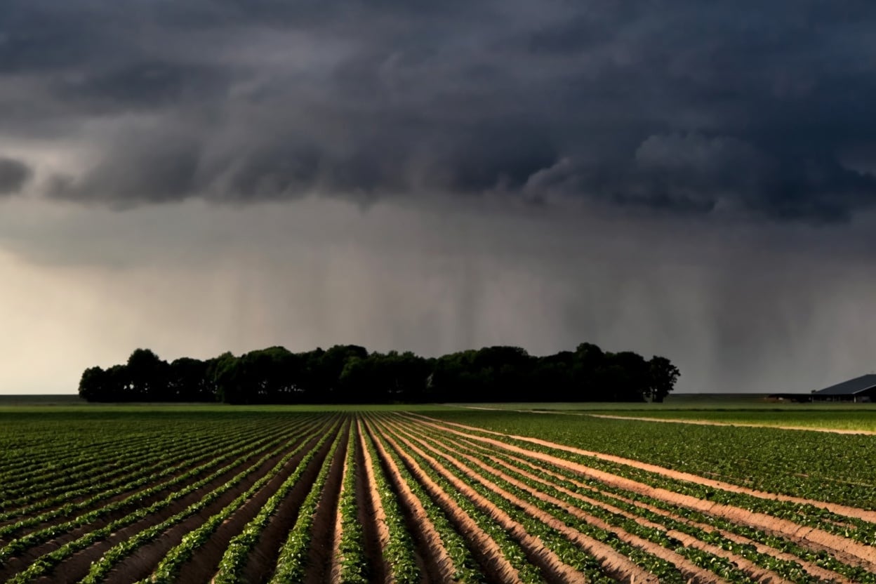 Lavoura sob céu carregado: o seguro rural busca proteger o produtor contra riscos climáticos.