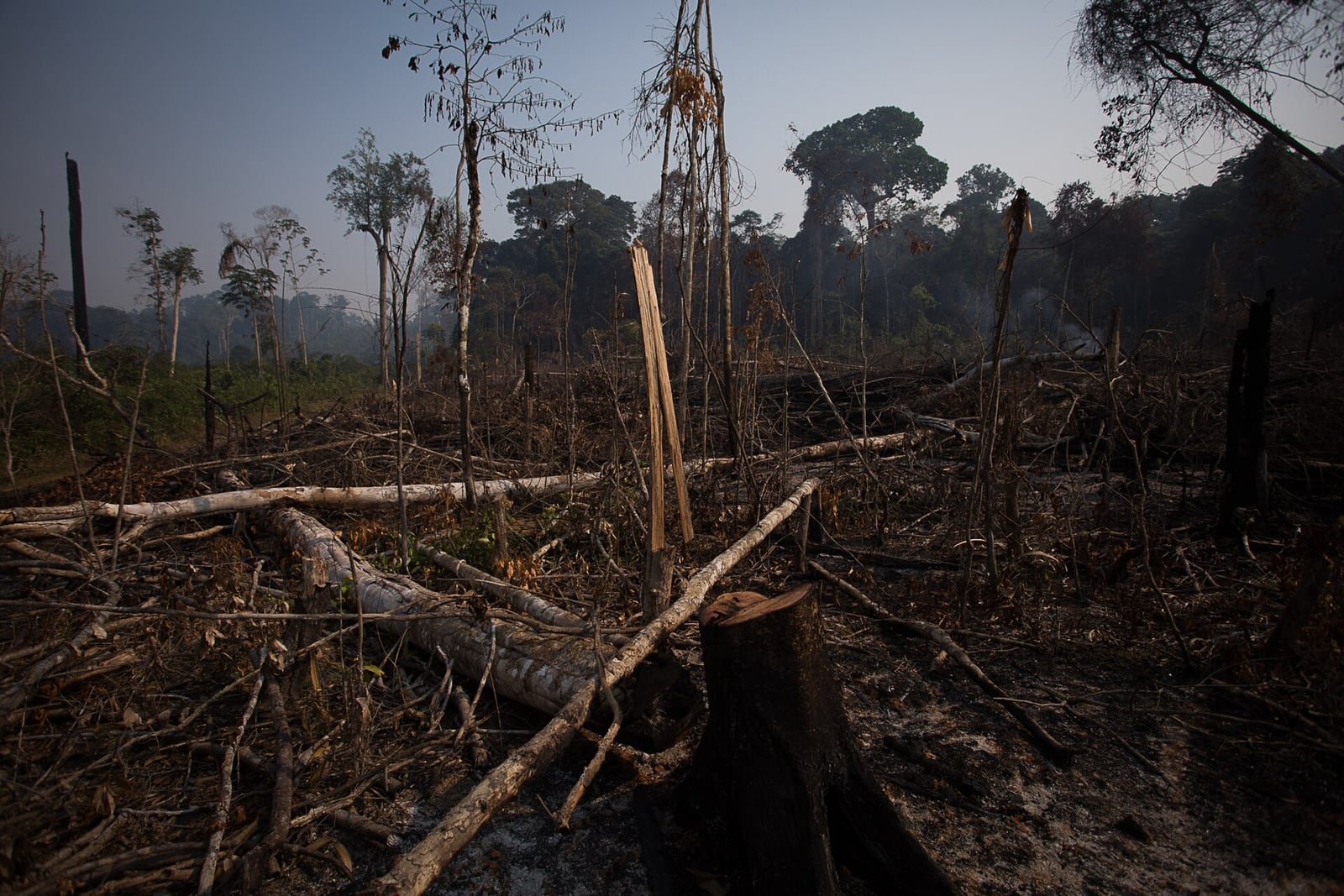 Área de floresta amazônica desmatada e queimada, com fumaça ao fundo.