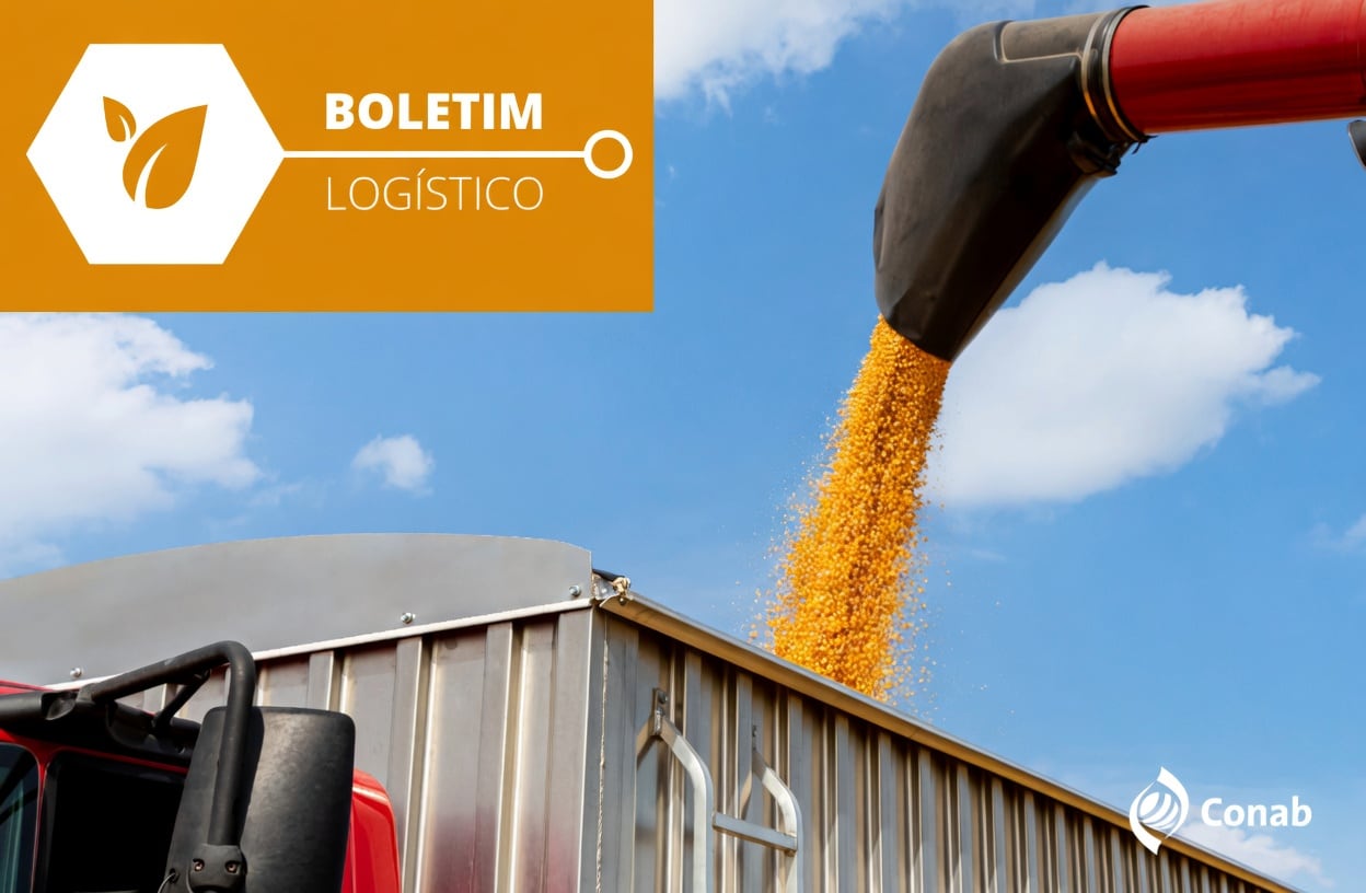 Transporte de grãos por caminhão: fretes agrícolas seguem pressionados em setembro por diesel e insumos, aponta Conab.