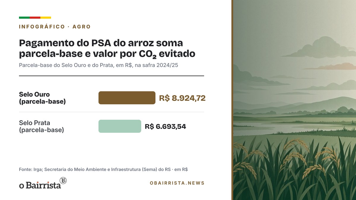 Infográfico: Pagamento do PSA do arroz soma parcela-base e valor por CO₂ evitado