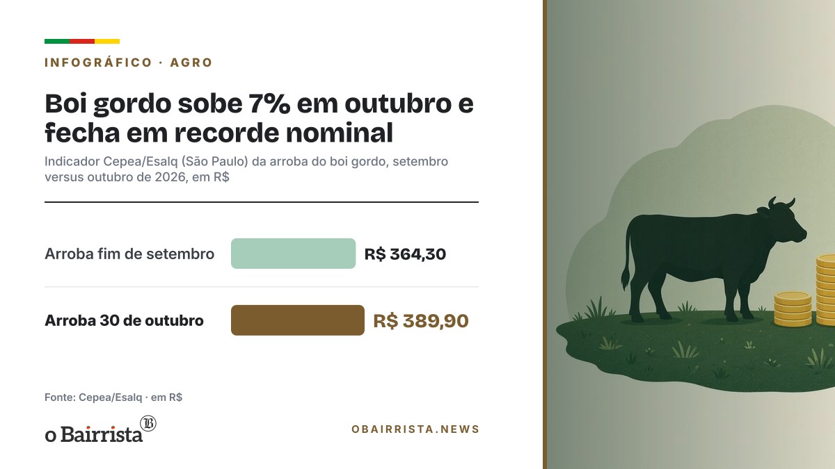 Infográfico: Boi gordo sobe 7% em outubro e fecha em recorde nominal