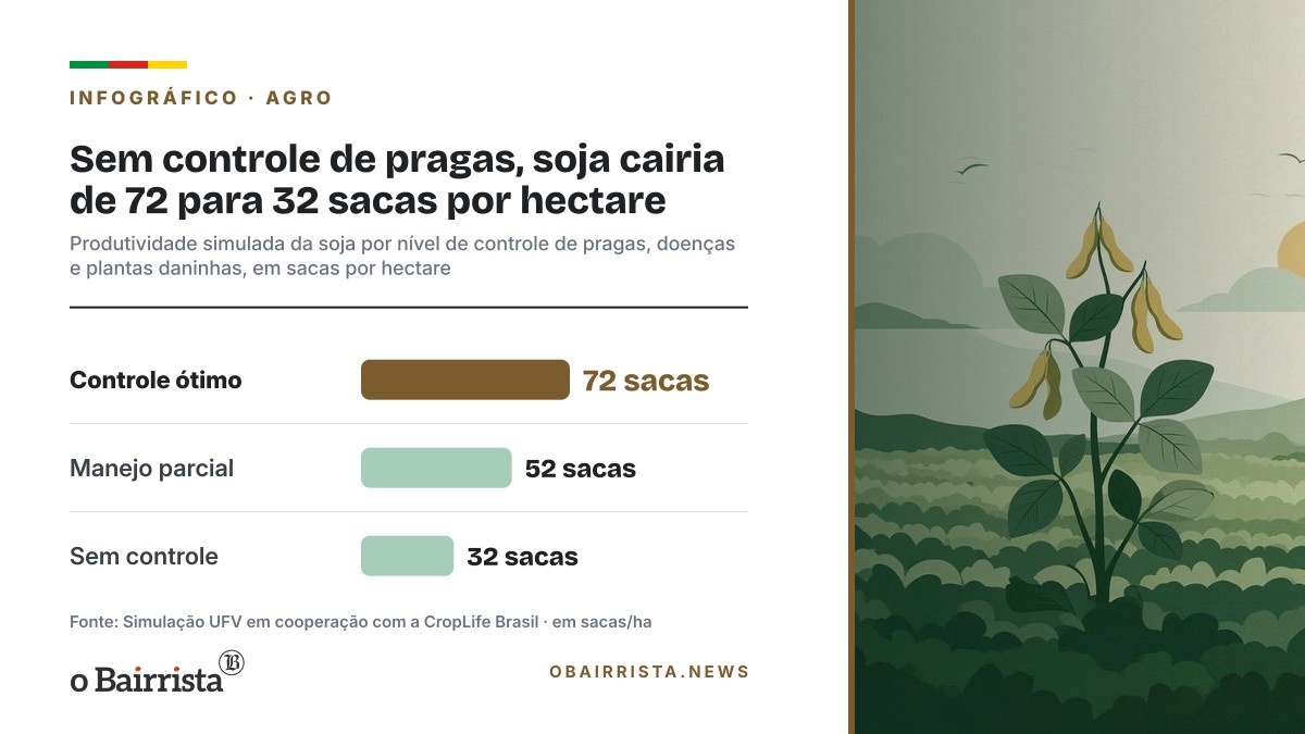 Infográfico: Sem controle de pragas, soja cairia de 72 para 32 sacas por hectare