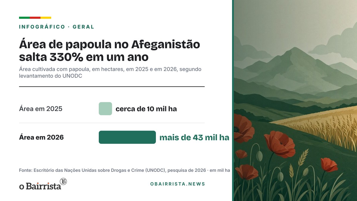 Infográfico: Área de papoula no Afeganistão salta 330% em um ano
