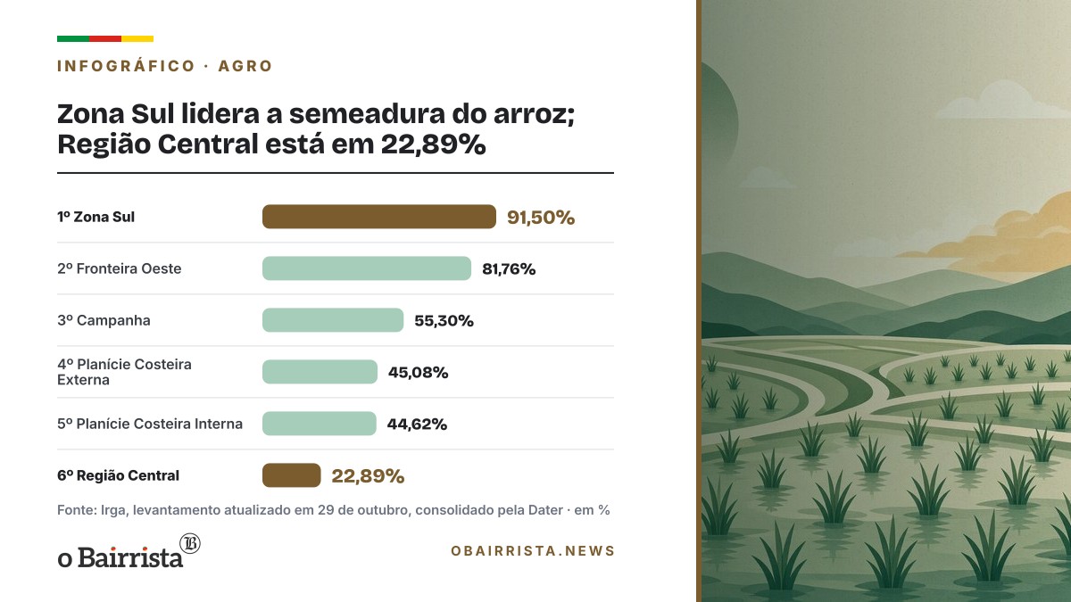 Infográfico: Zona Sul lidera a semeadura do arroz; Região Central está em 22,89%