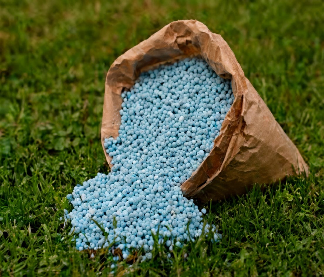 Grânulos azuis de fertilizante saindo de um saco de papel sobre a grama.