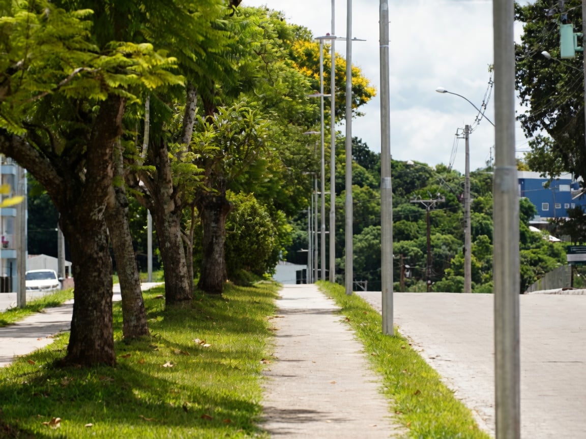 Postes de iluminação pública ao longo de uma calçada arborizada.