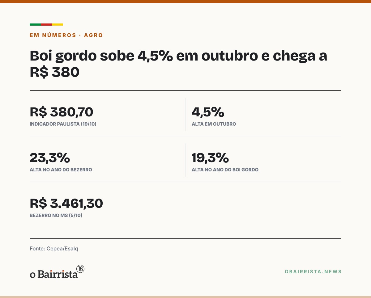 Quadro: Arroba do boi gordo chega a R$ 380 em SP e sobe cerca de 4,5% em outubro, diz Cepea