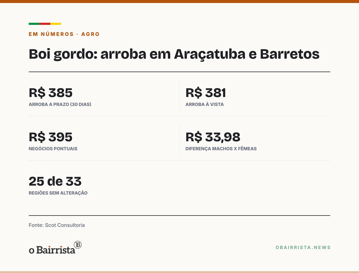 Quadro: Boi gordo fica estável em 25 de 33 regiões e arroba segue em R$ 385 em Barretos