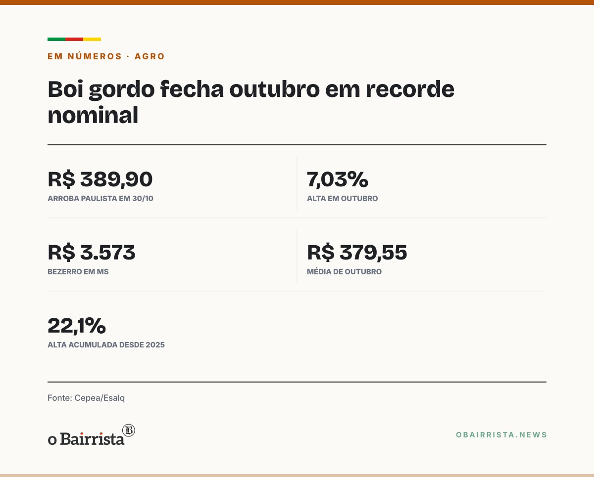 Quadro: Boi gordo fecha outubro a R$ 389,90 a arroba, recorde nominal; bezerro de MS a R$ 3.573