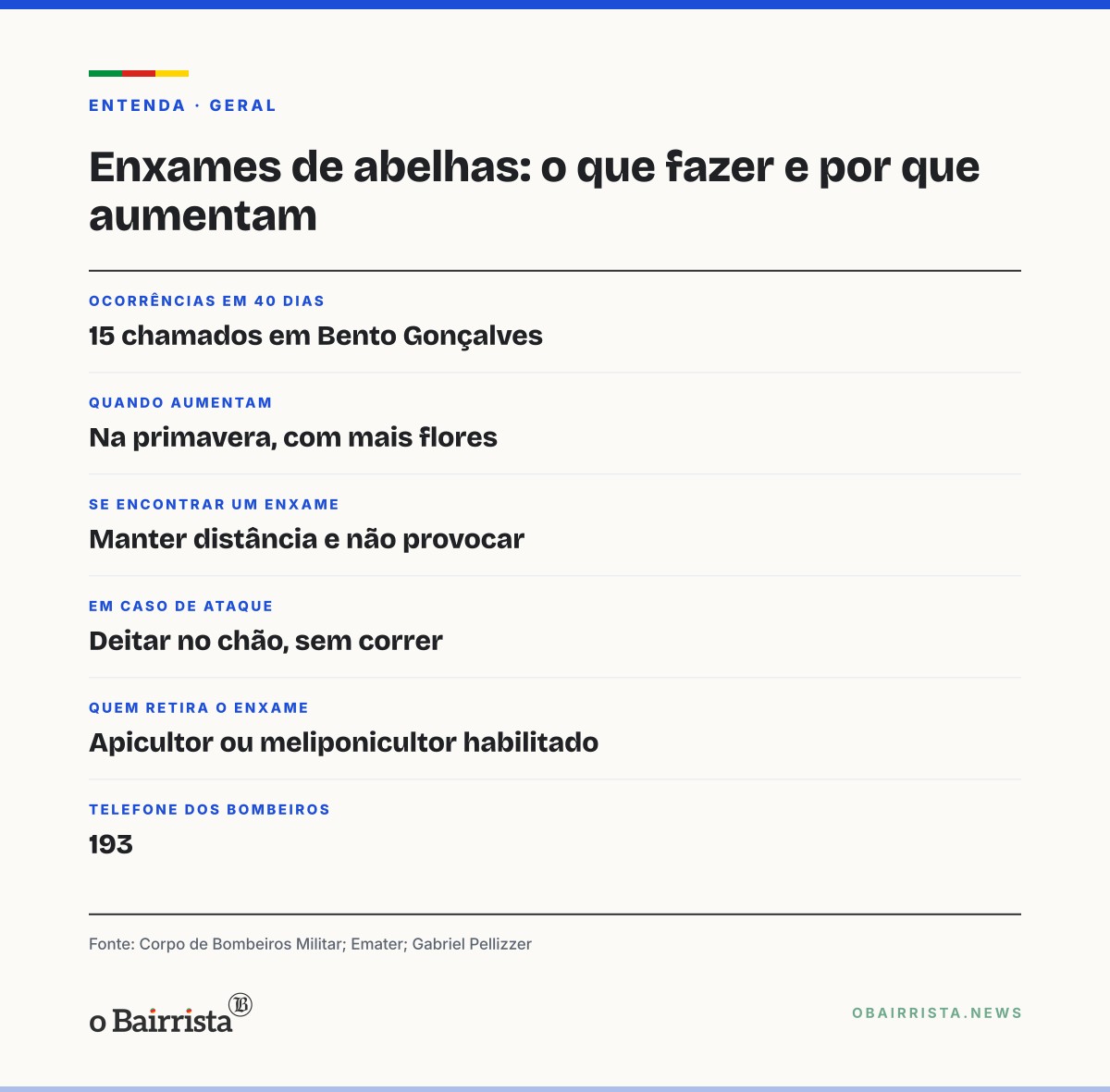 Quadro: Bombeiros de Bento Gonçalves atendem 15 ocorrências com abelhas em 40 dias