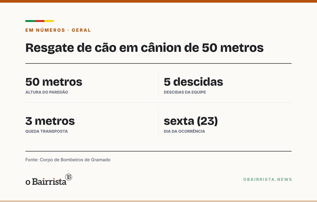 Quadro: Bombeiros de Gramado resgatam cão do alto de cânion de 50 metros com cinco descidas