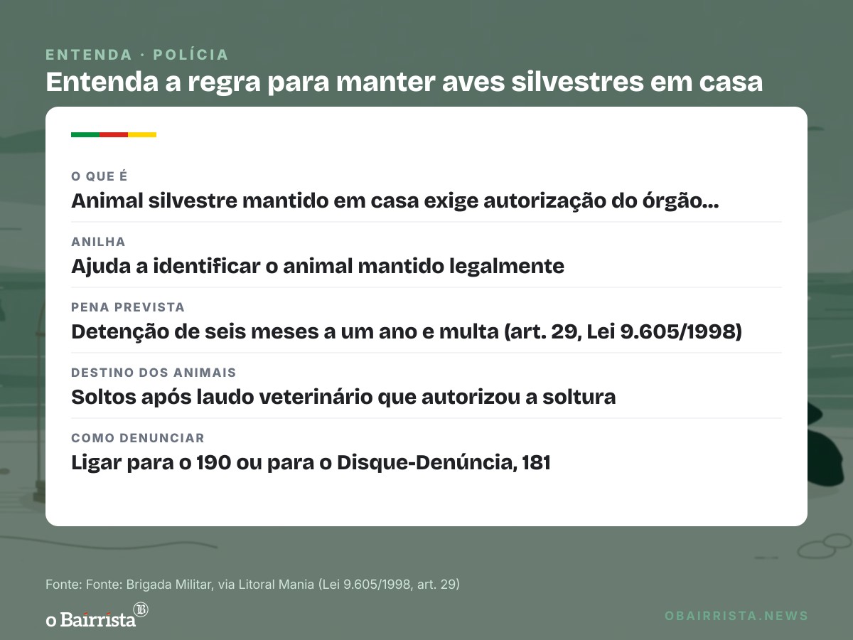 Quadro: Brigada Militar apreende duas aves e dois filhotes de tartaruga-tigre em Capão da Canoa