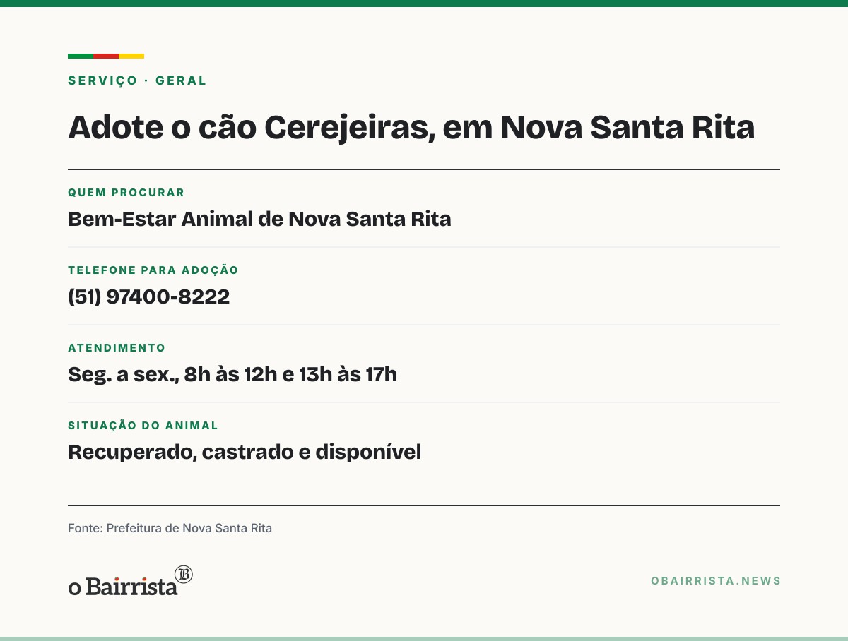 Quadro: Cão Cerejeiras, atacado por pitbull em Nova Santa Rita, está pronto para adoção