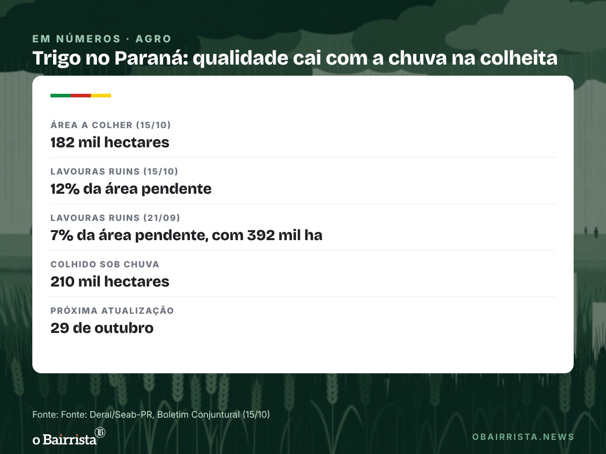 Quadro: Chuva na colheita piora lavouras de trigo do Paraná; 12% da área pendente está ruim