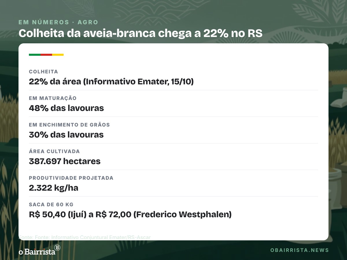 Quadro: Colheita da aveia-branca chega a 22% no RS; chuva e granizo pesam na qualidade