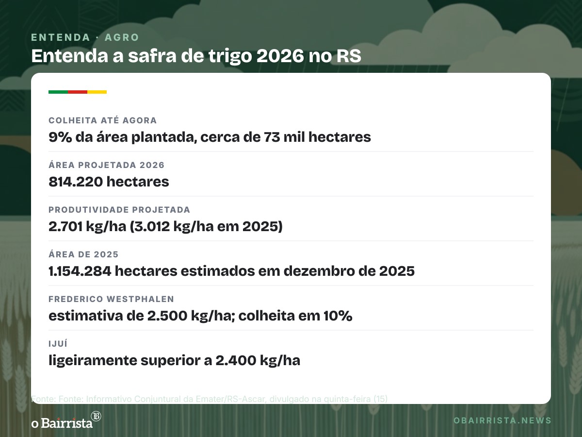 Quadro: Colheita de trigo chega a 9% no RS e grão úmido encarece a secagem