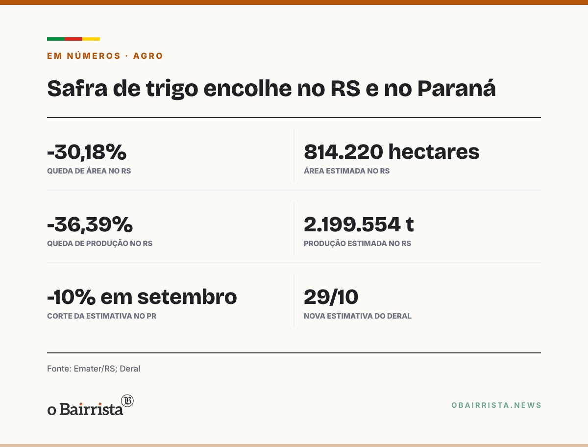 Quadro: Dia de Campo em Coxilha apresenta trigo HB4 e alerta para antecipar compra de sementes
