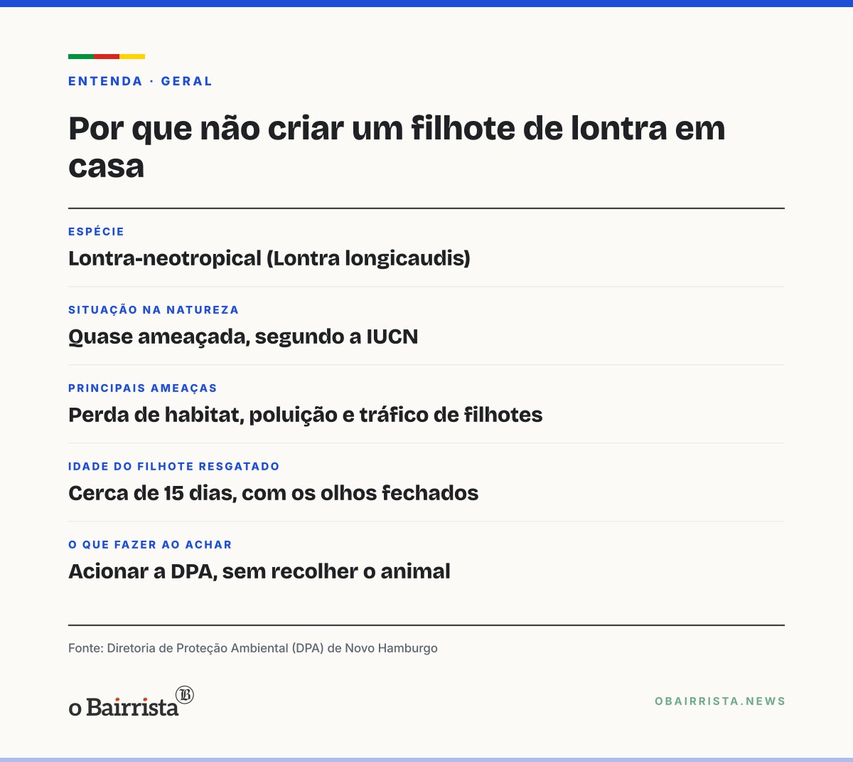 Quadro: DPA resgata filhote de lontra de 15 dias, sozinho e de olhos fechados, em Novo Hamburgo