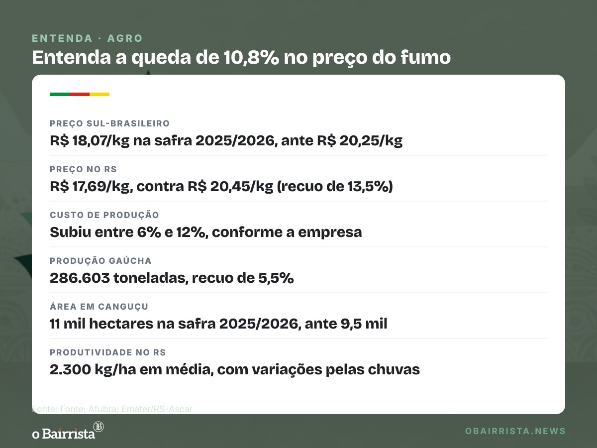 Quadro: Em Canguçu, fumicultora troca estufa de vara pela elétrica; preço do tabaco cai 10,8%