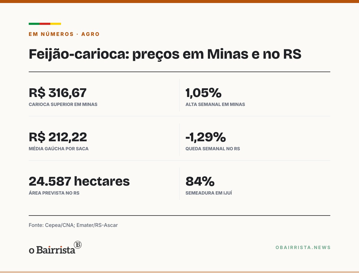 Quadro: Feijão-carioca sobe 1,05% em Minas e chega a R$ 316,67; no RS, média cai a R$ 212,22