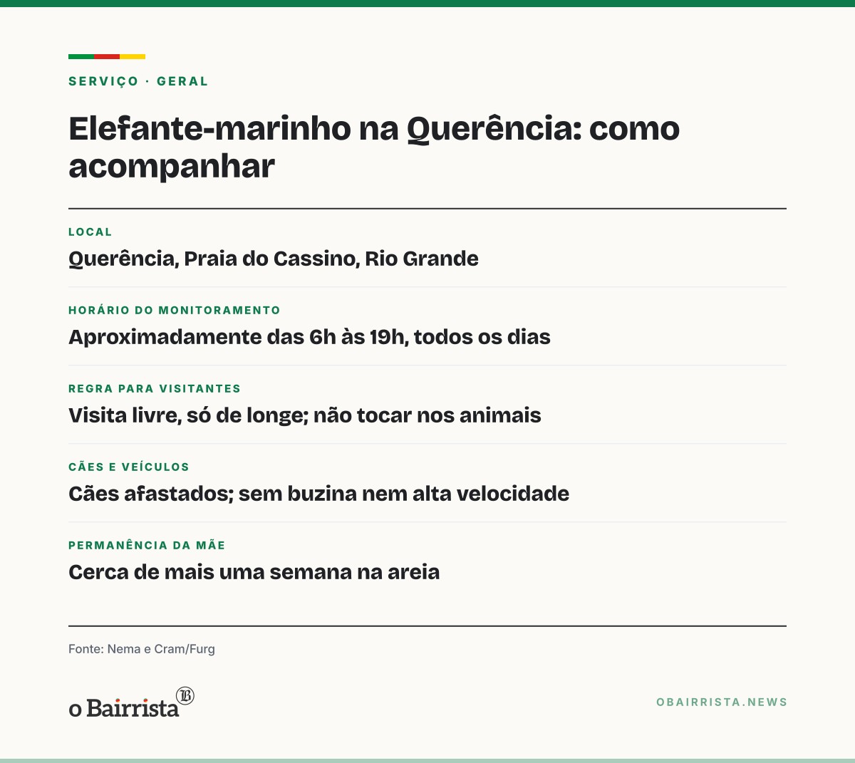 Quadro: Filhote de elefante-marinho do Cassino chega aos 15 dias e muda de pelo; mãe fica mais uma semana