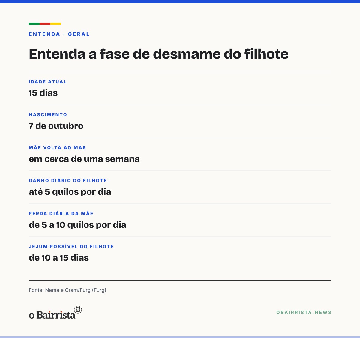 Quadro: Filhote de elefante-marinho do Cassino completa 15 dias e já troca de pelagem