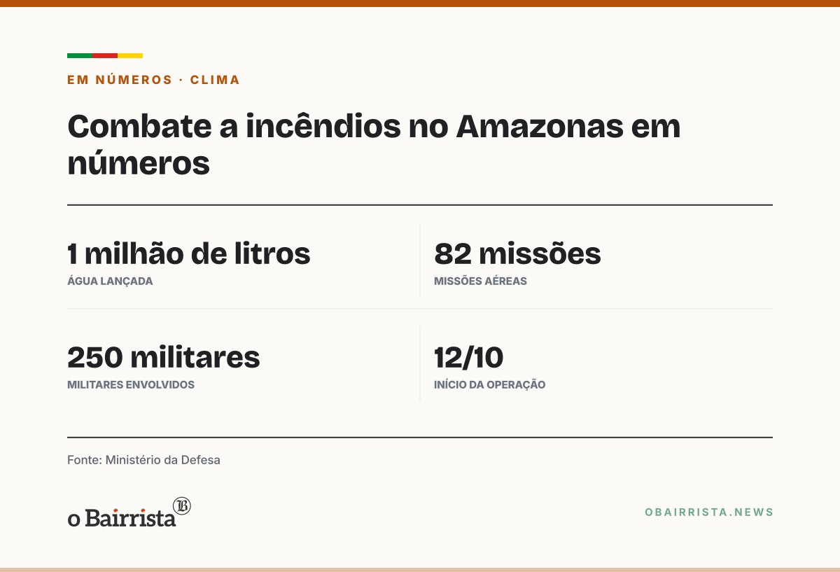 Quadro: Forças Armadas lançam 1 milhão de litros de água contra incêndios no Amazonas