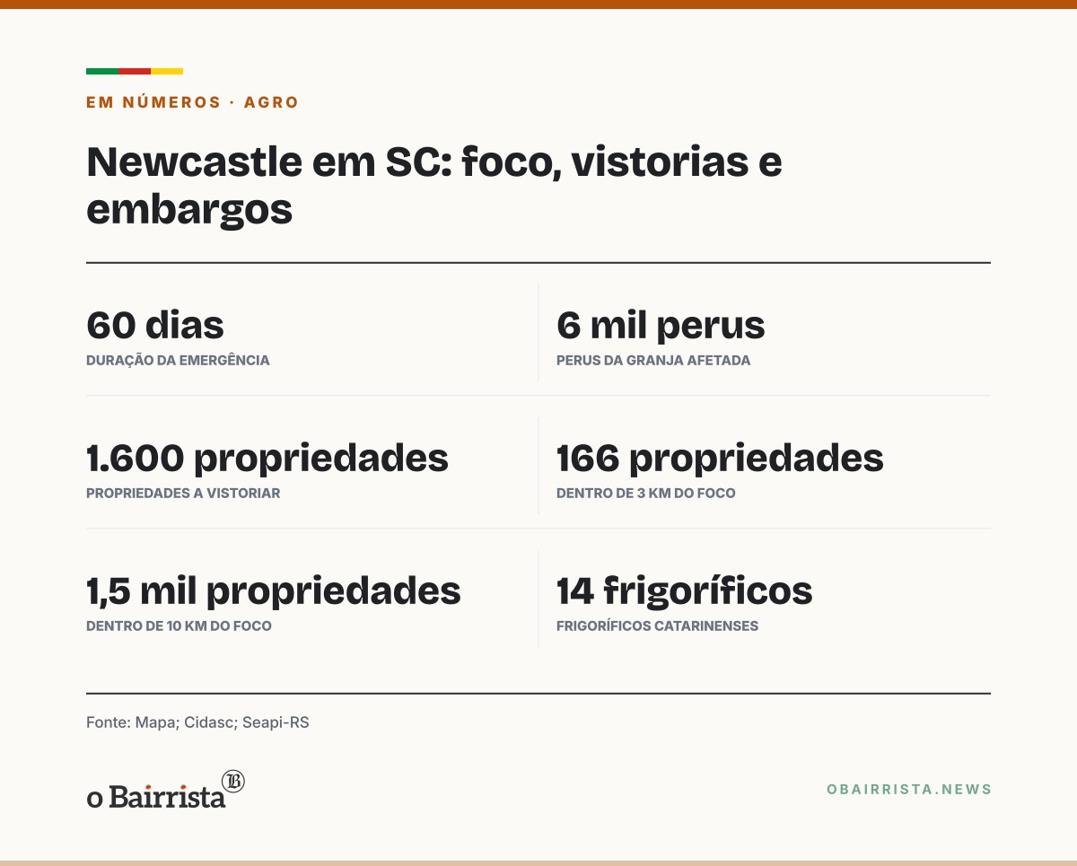 Quadro: Governo decreta emergência por 60 dias em 4 cidades de SC após Newcastle em perus