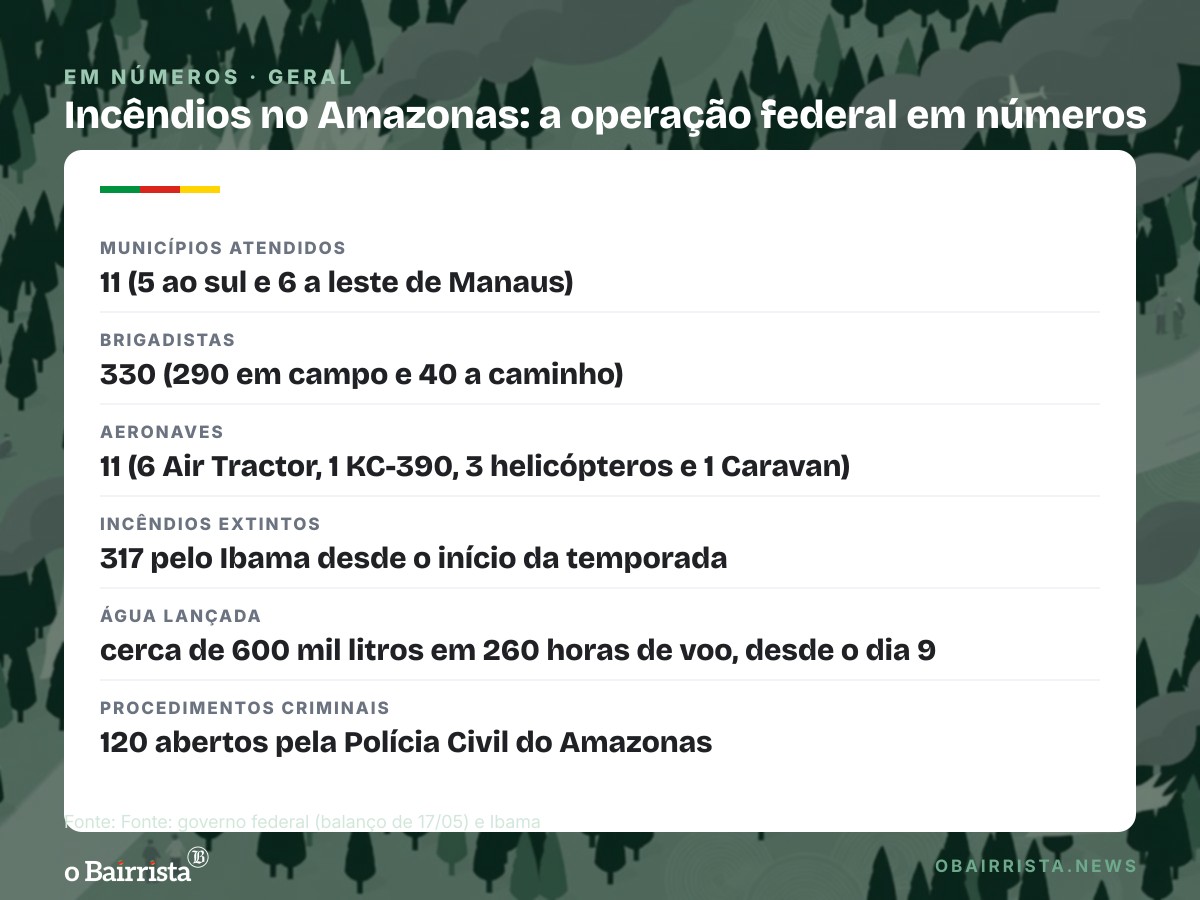 Quadro: Ibama e ICMBio combatem fogo em 11 municípios do Amazonas com 330 brigadistas