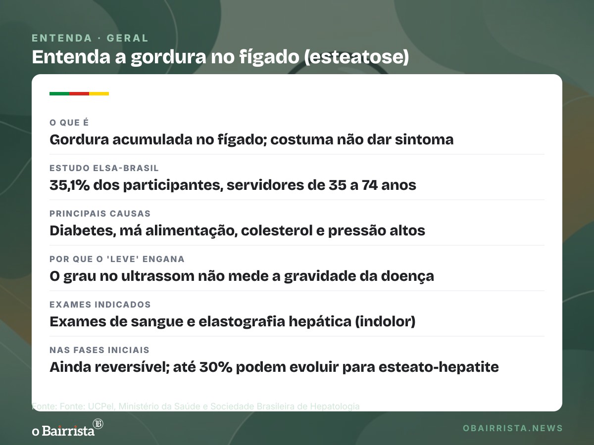 Quadro: Laudo de gordura "leve" no fígado não dispensa avaliação, alerta médica da UCPel