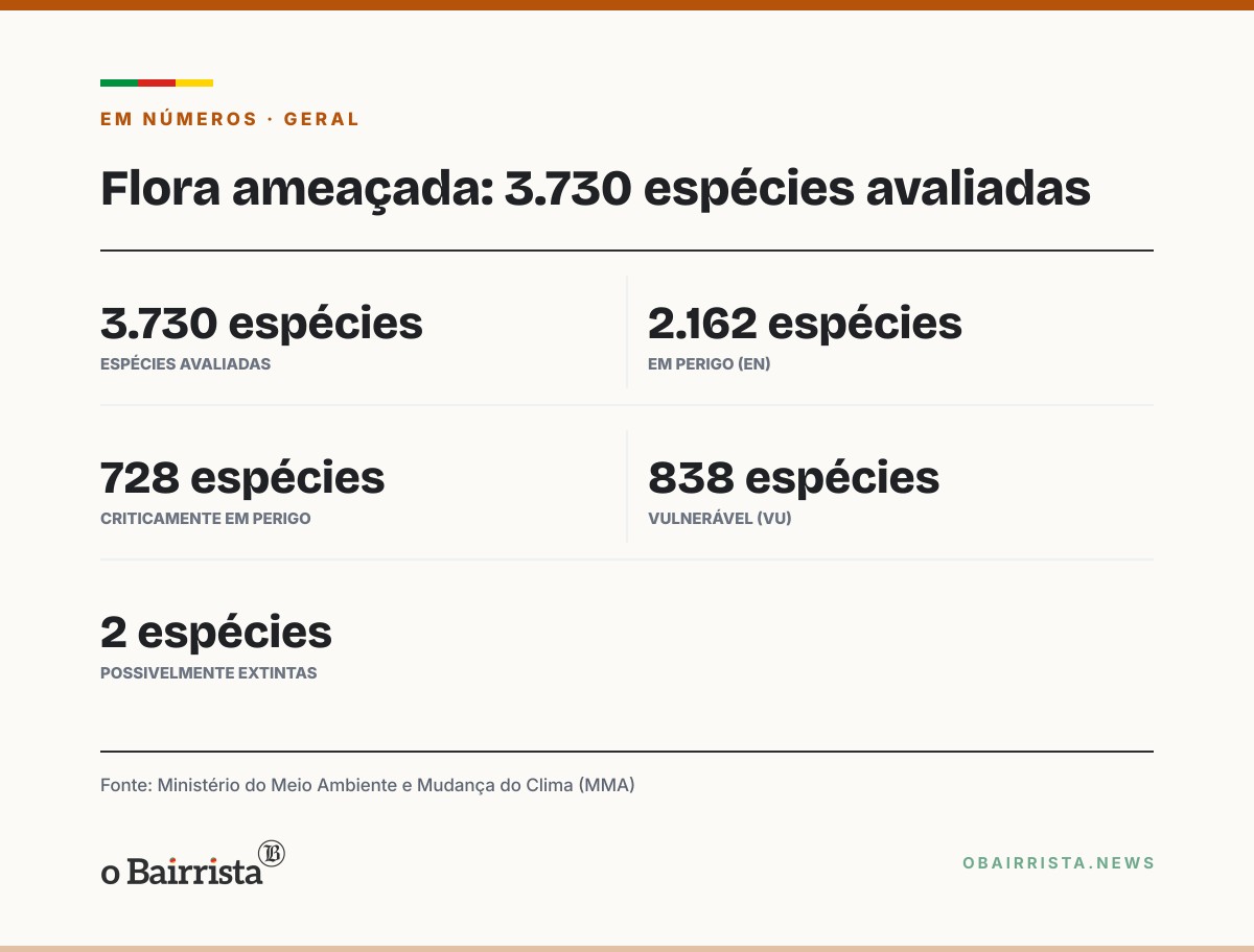 Quadro: MMA atualiza lista de flora ameaçada com 3.730 espécies; 2.162 estão em perigo