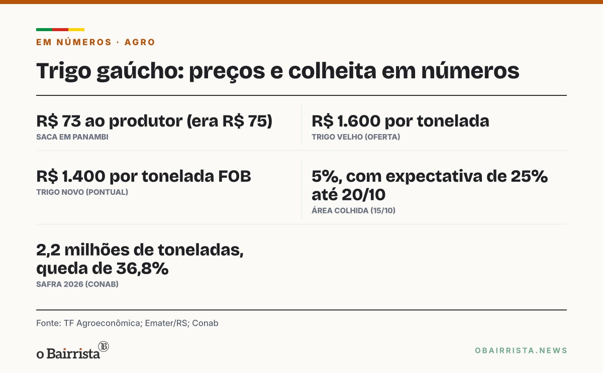 Quadro: Moinhos relatam falta de trigo de qualidade; saca cai a R$ 73 em Panambi