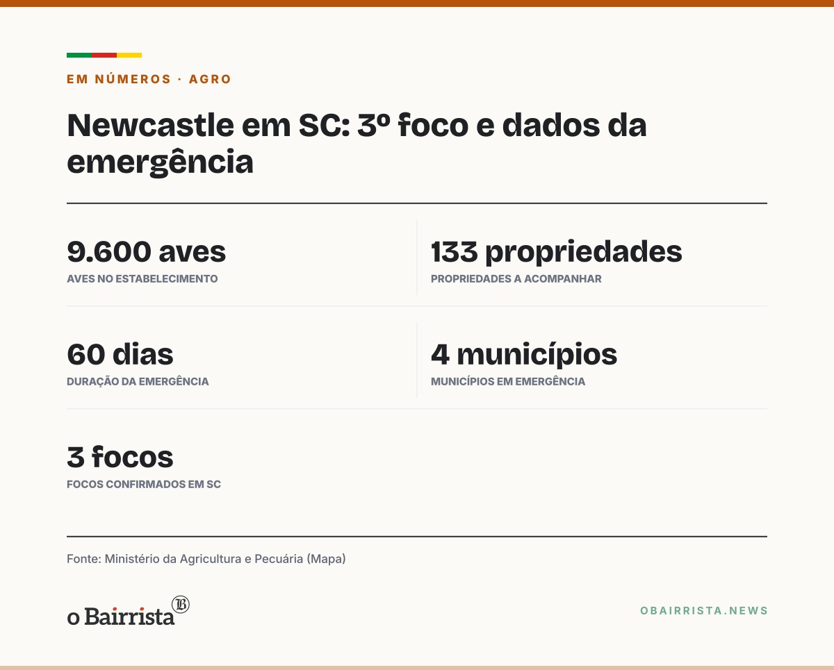 Quadro: Nova Erechim (SC) tem 3º foco de Newcastle; Mapa diz que consumo de carne segue seguro