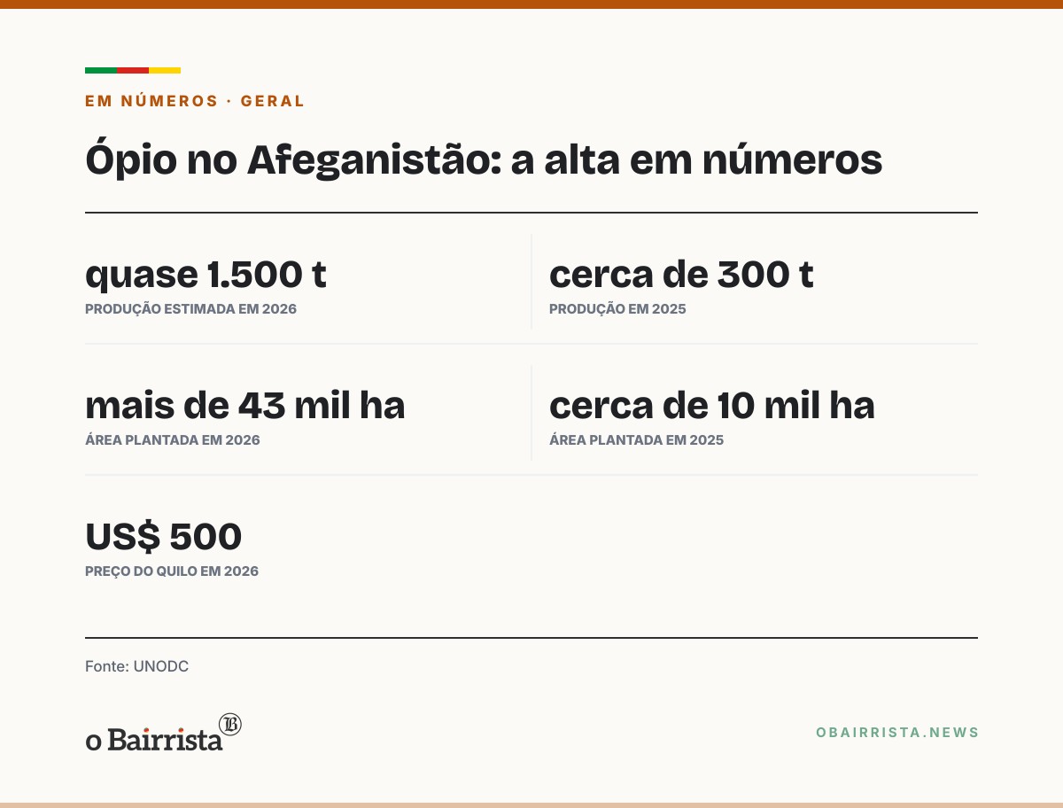 Quadro: Produção de ópio no Afeganistão salta para quase 1.500 toneladas, diz ONU
