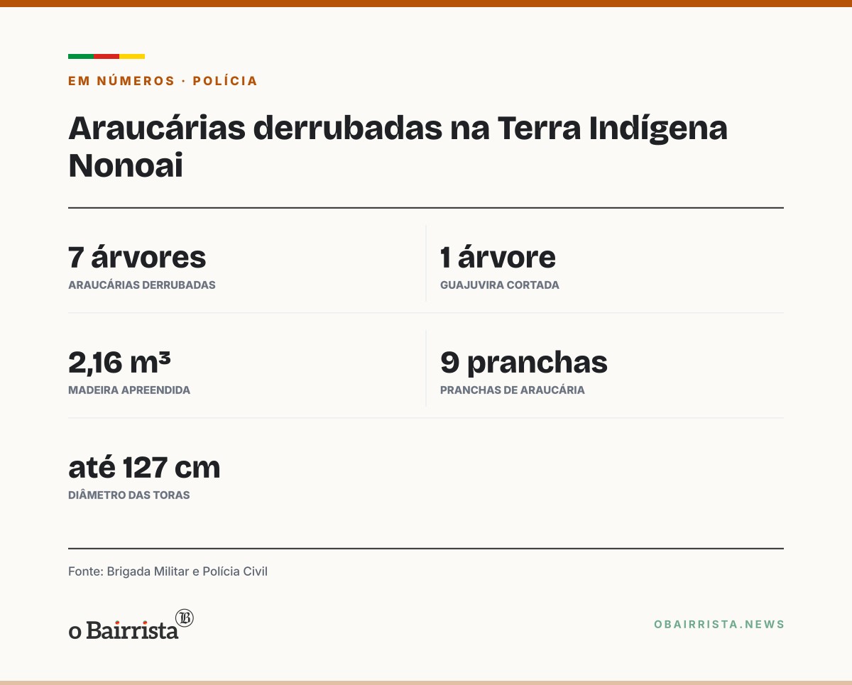 Quadro: Quatro homens são presos por derrubar sete araucárias na Terra Indígena Nonoai