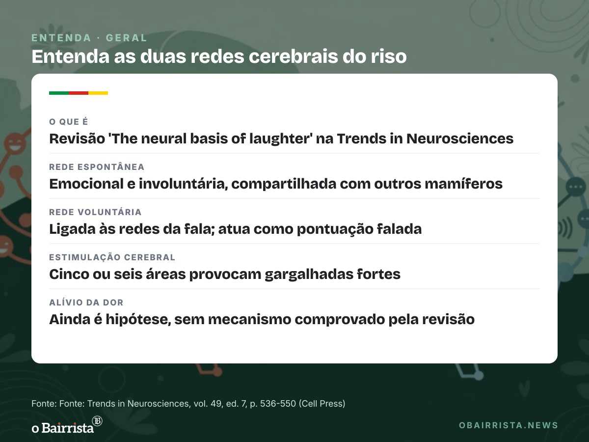 Quadro: Riso espontâneo e riso voluntário vêm de duas redes do cérebro, indica revisão de estudos