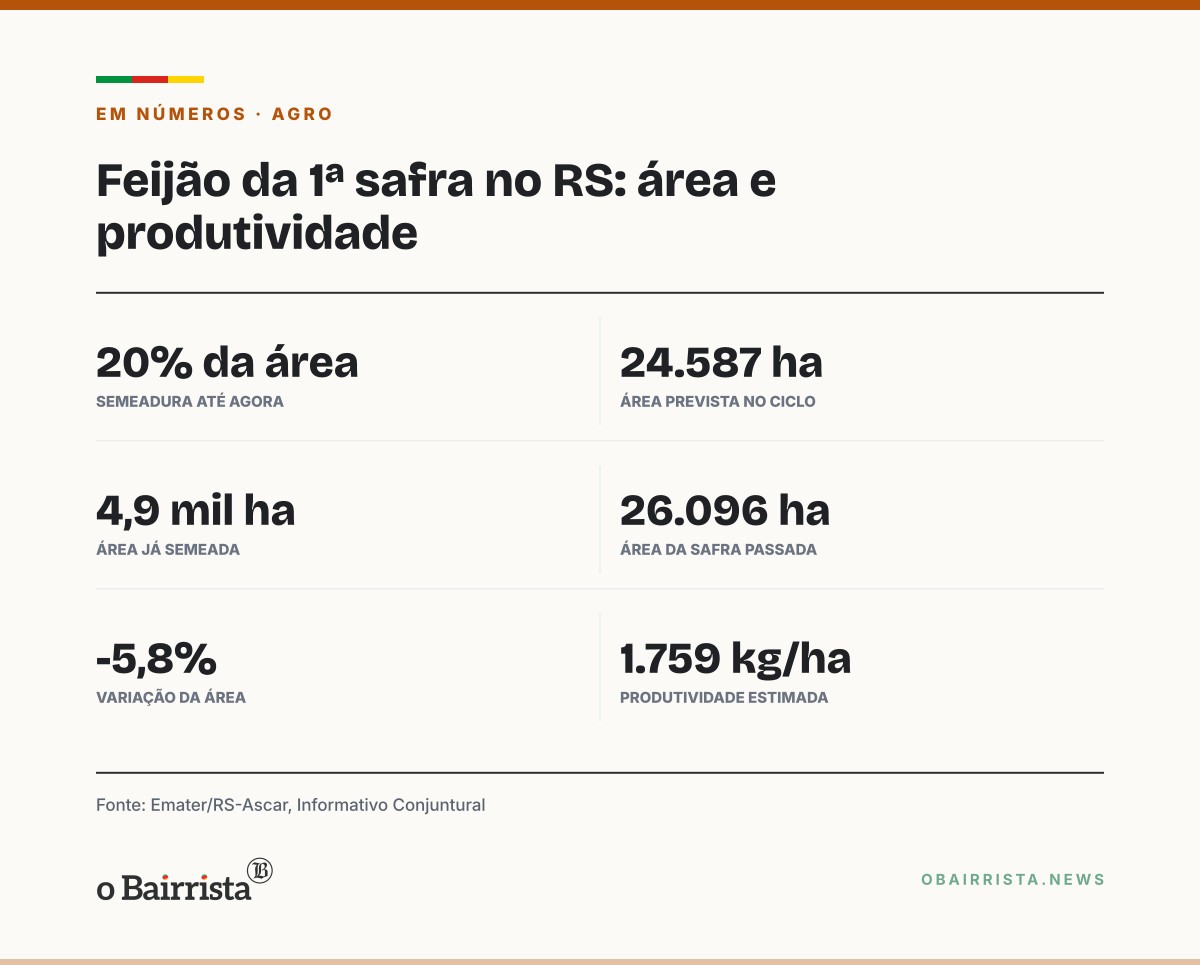 Quadro: Semeadura do feijão da 1ª safra chega a 20% da área no RS, freada pela umidade