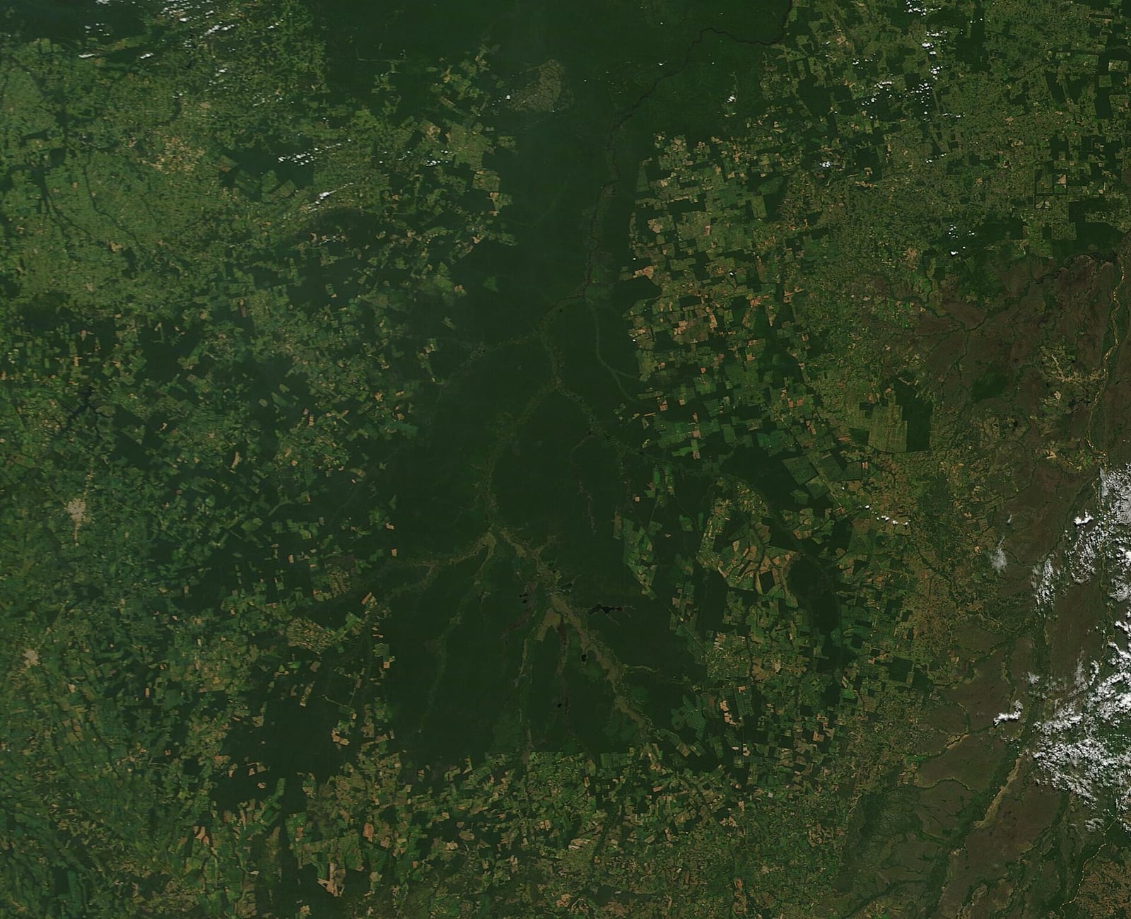 Imagem de satélite (MODIS, NASA) mostrando áreas desmatadas no entorno do Parque Nacional do Xingu.