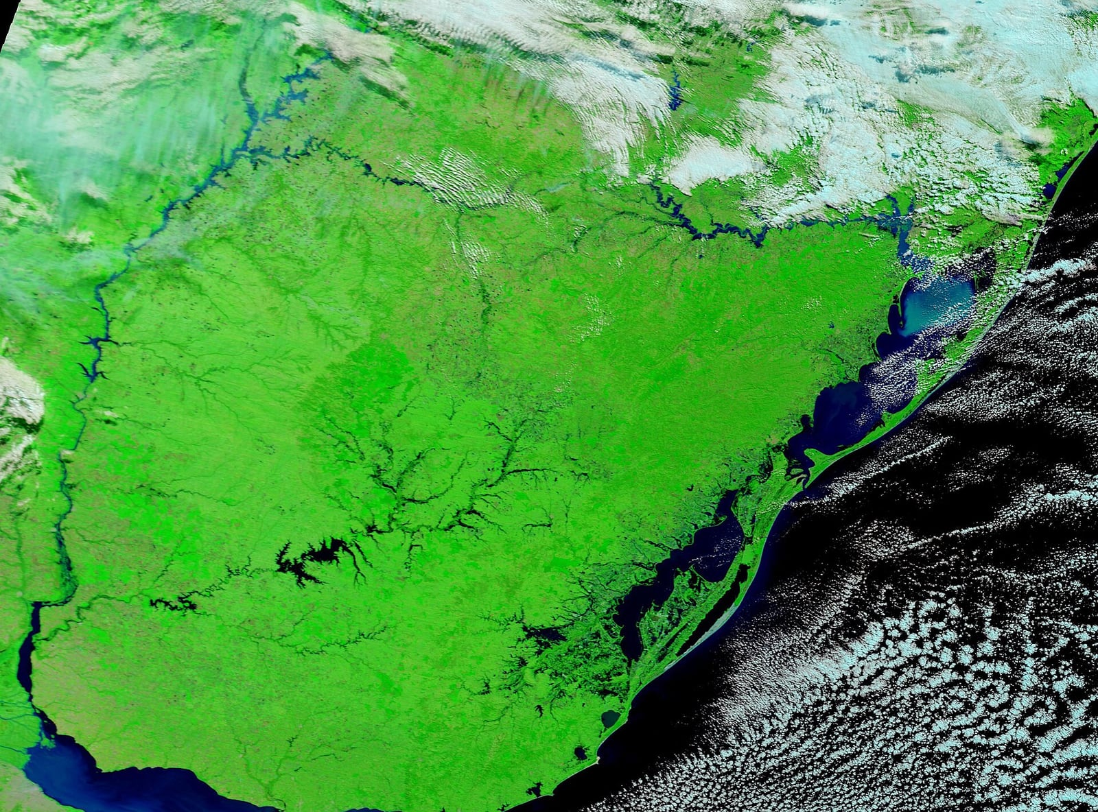 Imagem de satélite MODIS (13/05/2024) mostrando rios e áreas alagadas no Rio Grande do Sul e regiões vizinhas.