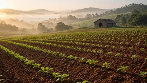 Ilustração: cena simbólica sobre agro no Santa Maria e Central