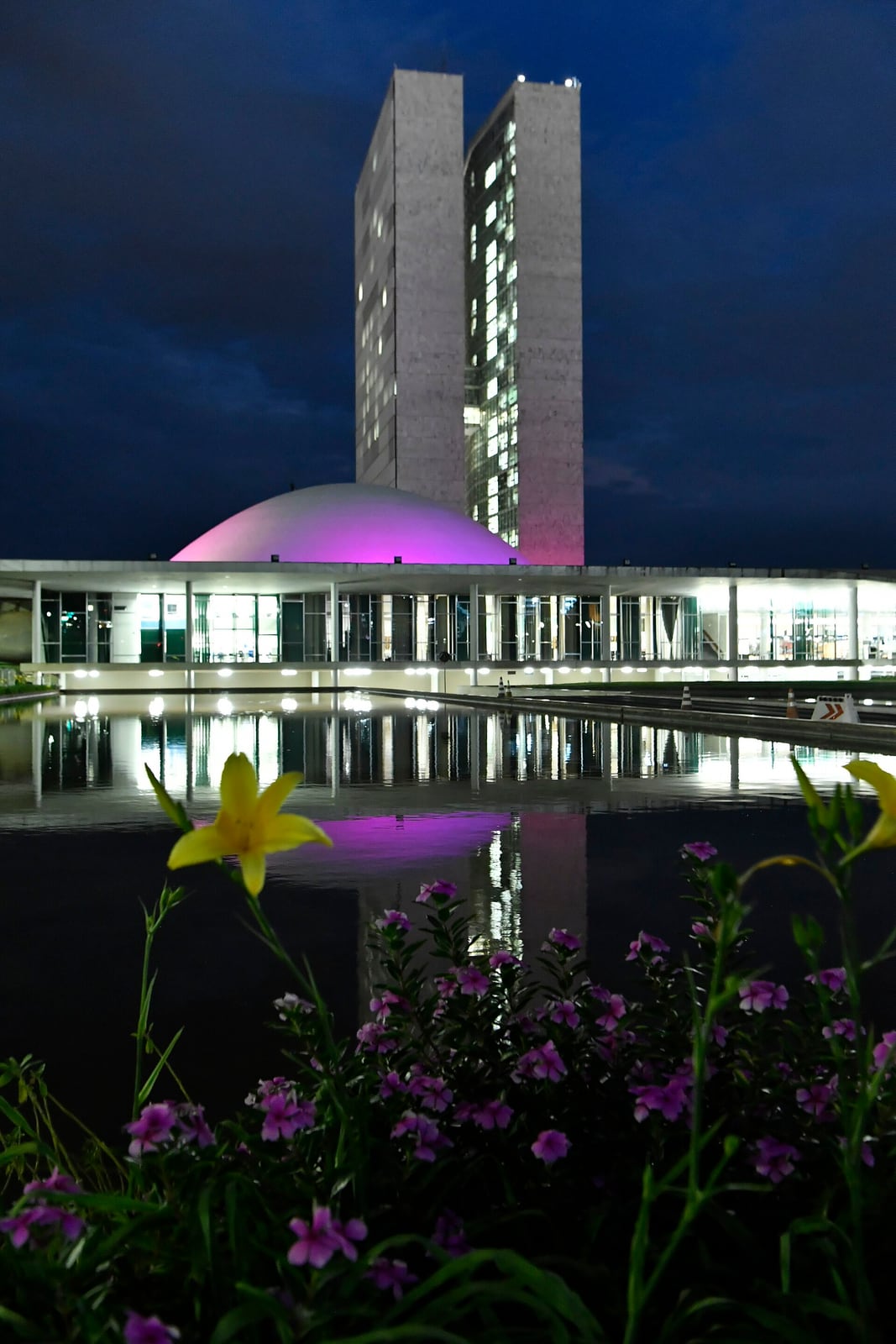 Prédio do Congresso Nacional, em Brasília, iluminado de rosa durante a campanha Outubro Rosa.