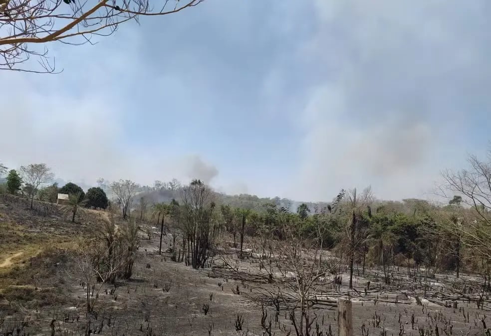Área de vegetação seca e queimada em meio à estiagem que atinge o Tocantins.